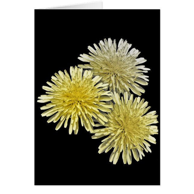 Cartão O flagelo da vizinhança (Frente)