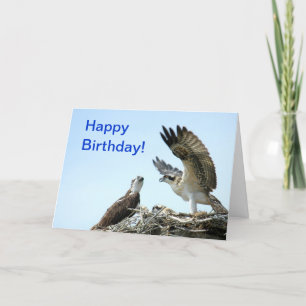 Cartão O flapping do osprey do feliz aniversario voa o