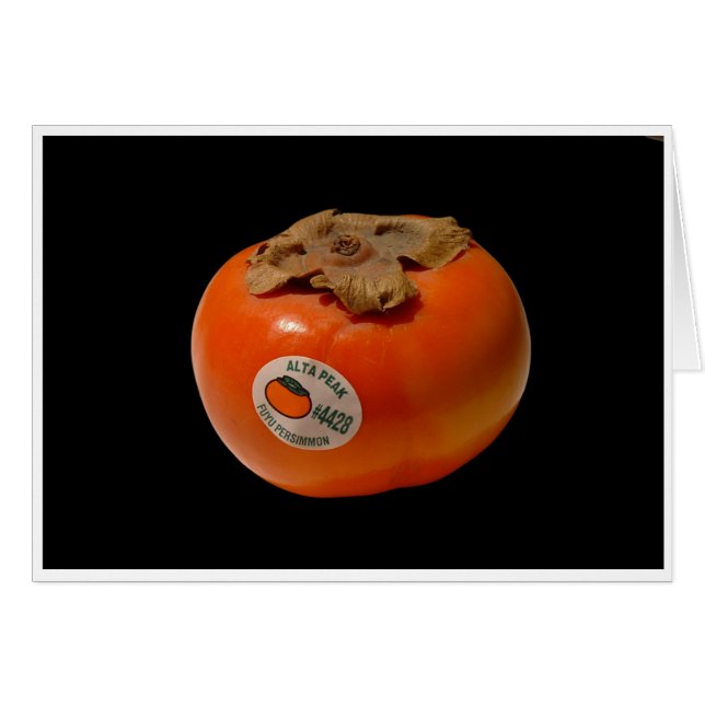 Cartão O Fogo de Zeus (Frente Horizontal)