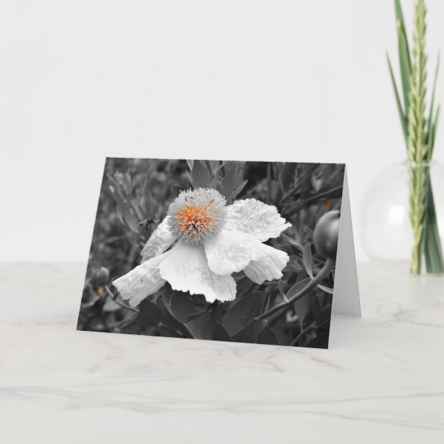 Cartão O Fogo Dentro (Frente)