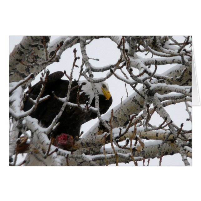 Cartão O fortes sobrevivem (Frente Horizontal)