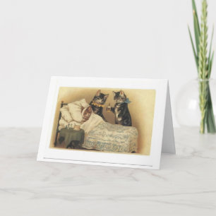 Cartão O Gatinho fica bem