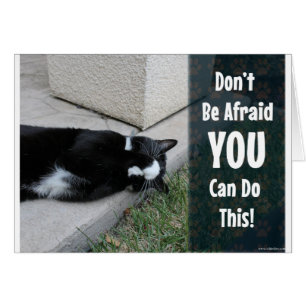 Cartão O gato bonito não está receoso