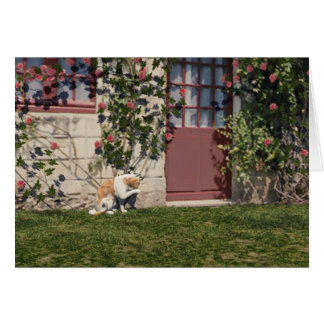 Cartão O Gato Em Algodão De Rosa
