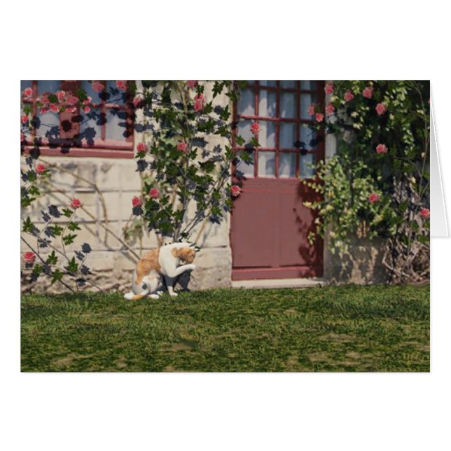 Cartão O Gato Em Algodão De Rosa (Frente Horizontal)