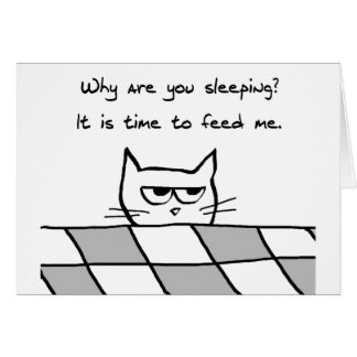 Cartão O gato irritado quê-lo fora da cama