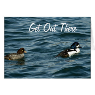 Cartão O Goldeneye ducks para fora lá