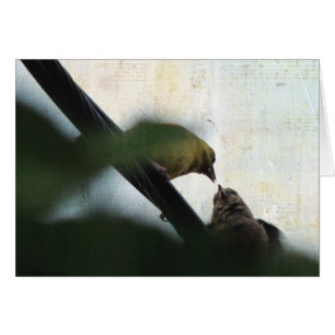 Cartão O Goldfinch alimenta o pintinho