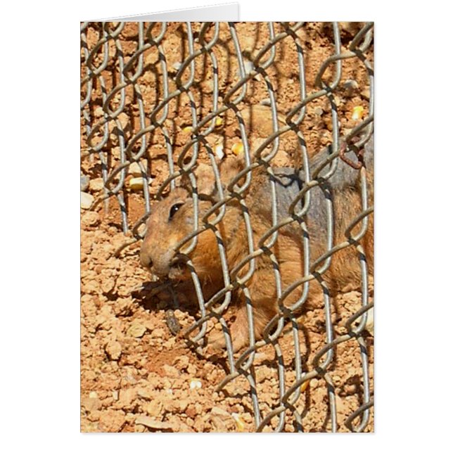 Cartão o grande escape (Frente)