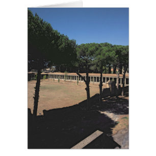 Cartão O grande Palaestra