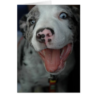 Cartão O grande prazer