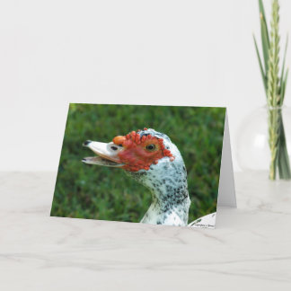 Cartão O grasnado de Quackity não fala para trás