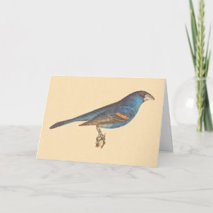 Cartão O Grosbeak Azul, os Pássaros de Nova Iorque de Jam