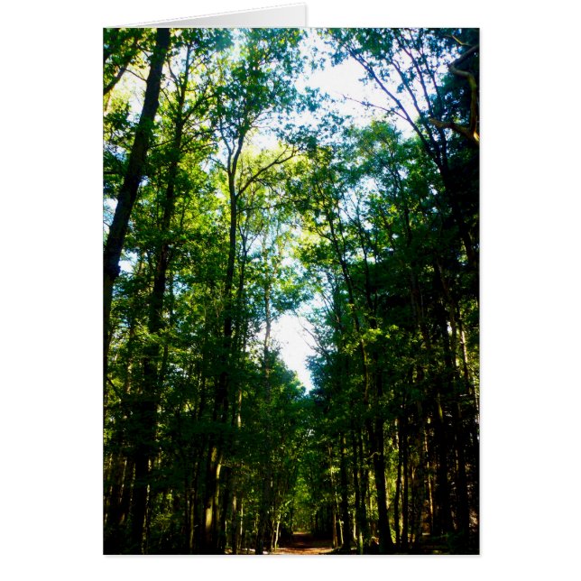 Cartão O Hetero e o estreito (Frente)