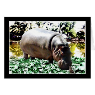Cartão O Hippo E O Pássaro