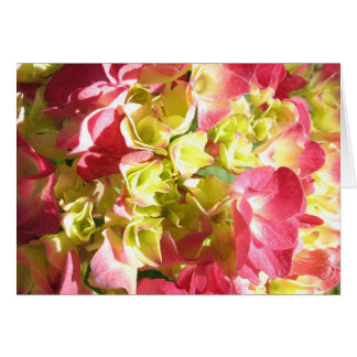 Cartão O Hydrangea de Katie