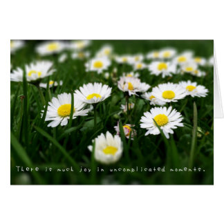 Cartão O incrível Diário das Aventuras de Amelia