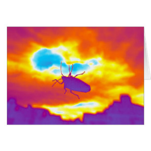 Cartão O Inseto Psicodélico