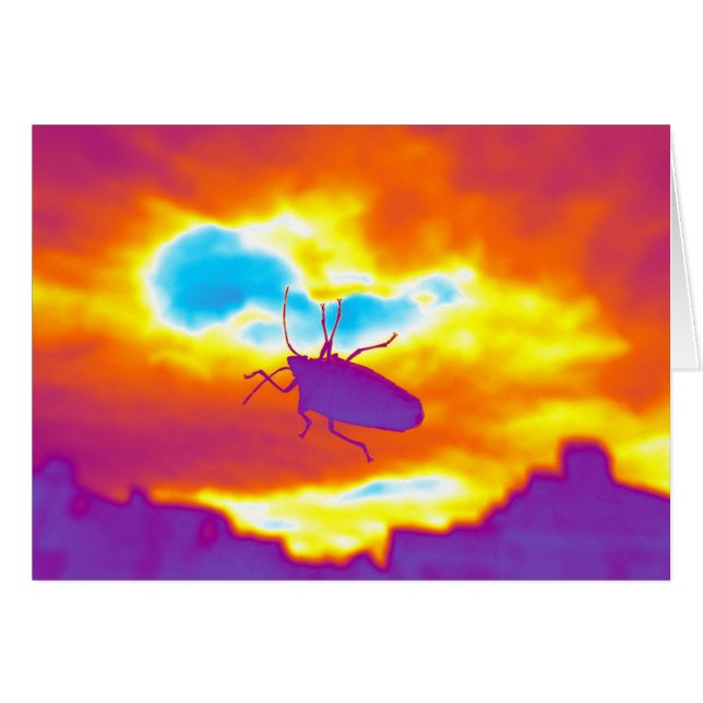 Cartão O Inseto Psicodélico (Frente Horizontal)