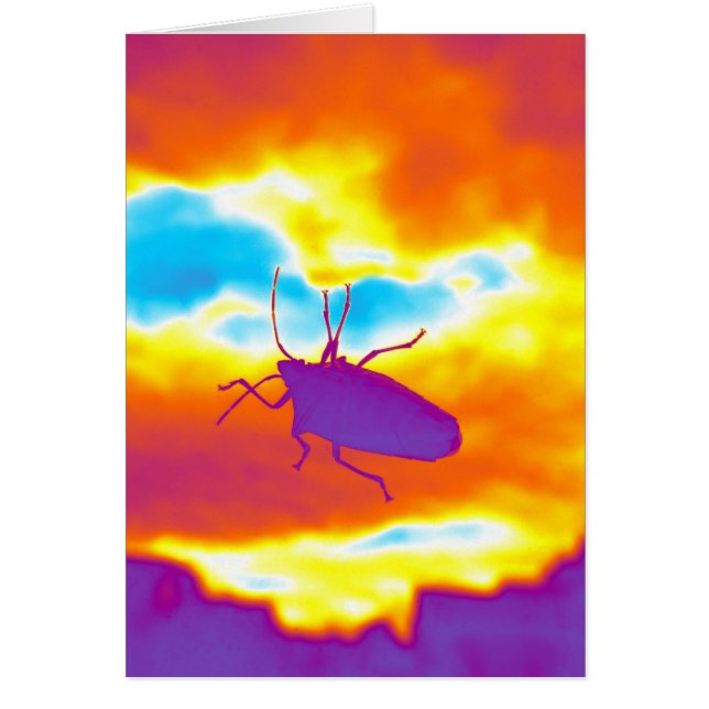 Cartão O Inseto Psicodélico (Frente)