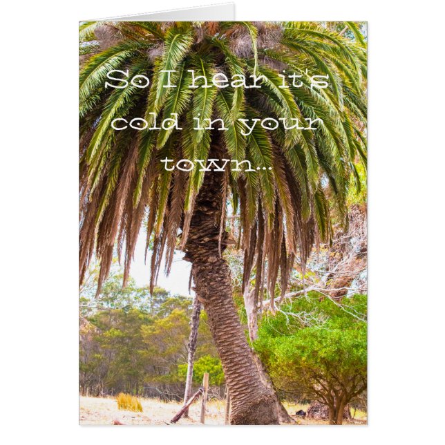 Cartão O inverno amola (Frente)