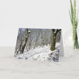 Cartão O inverno da Floresta Macclesfield