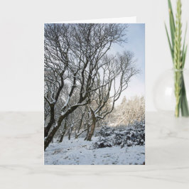 Cartão O inverno da Floresta Macclesfield