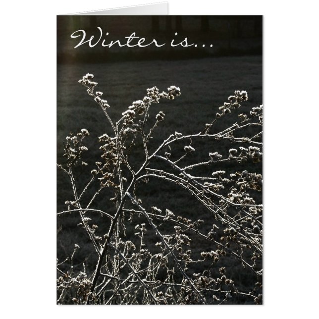 Cartão O inverno é (Frente)