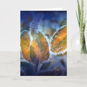 Cartão O inverno é frio em todas as ocasiões