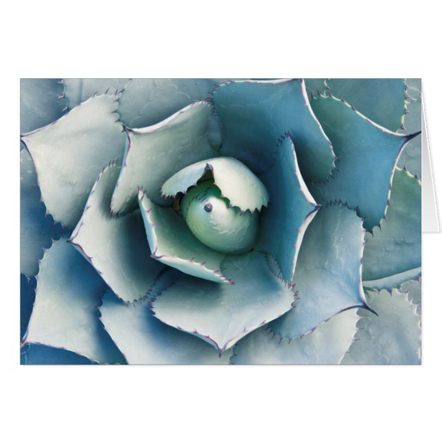 Cartão O Jardim Botânico de Huntington (Frente Horizontal)