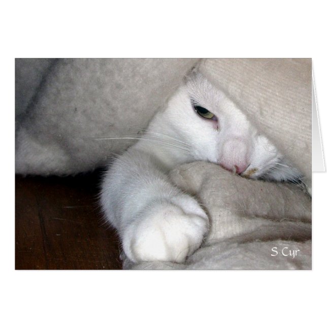 Cartão O jogo do cobertor, S Cyr (Frente Horizontal)