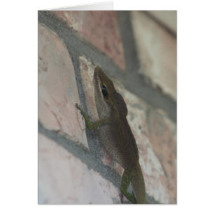 Cartão O lagarto escuro