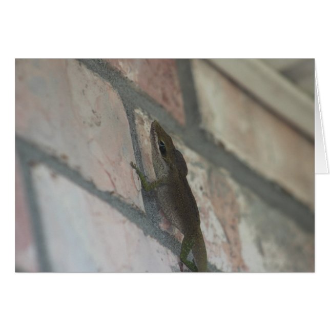 Cartão O Lagarto Escuro (Frente Horizontal)