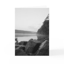 O Lago e a Névoa