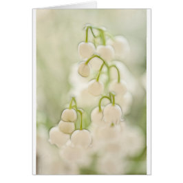 Cartão O lírio do vale floresce o esboço