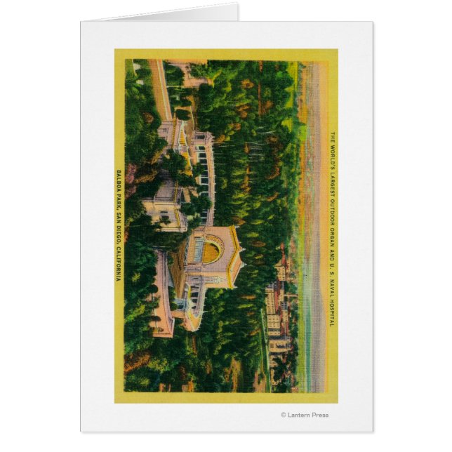 Cartão O maior órgão externo do mundo (Frente)