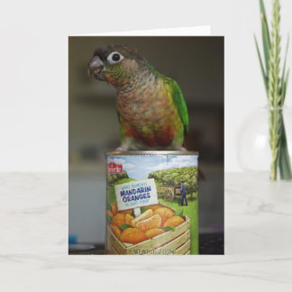 Cartão o mandarino delicioso