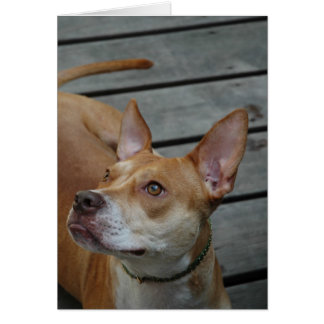 Cartão O melhor no homem