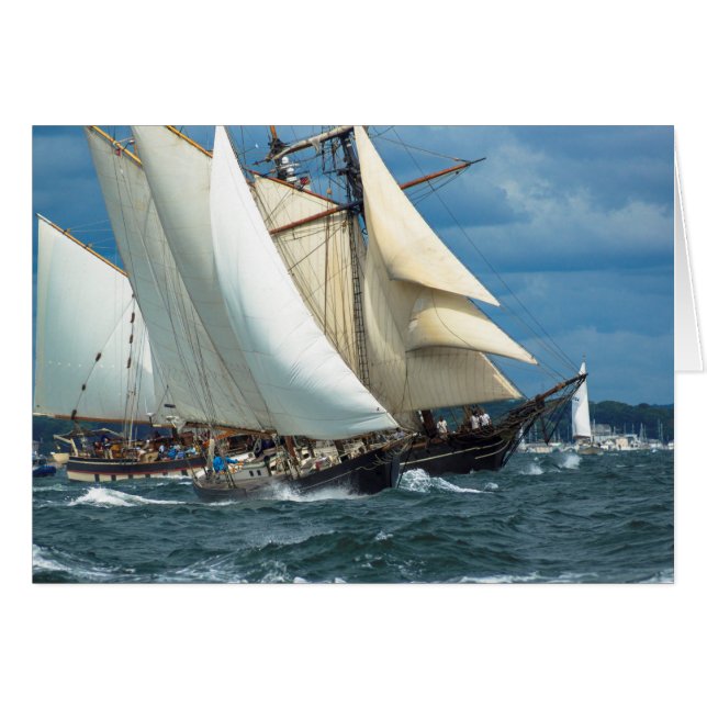 Cartão O melhor vento (Frente Horizontal)