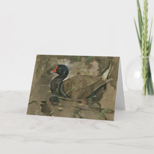 Cartão O Moorhen   Joseph Crawhall