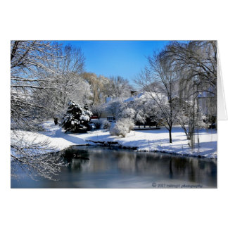 Cartão O mundo branco fala sem som.