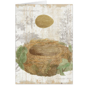 Cartão O ninho de um pássaro com um ovo de Brown