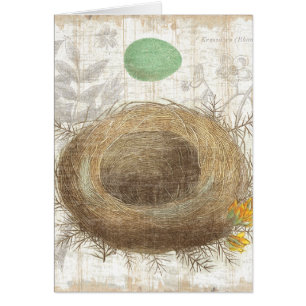 Cartão O ninho de um pássaro com um ovo verde