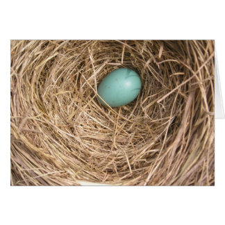 Cartão O ninho dos pássaros (West Virginia)