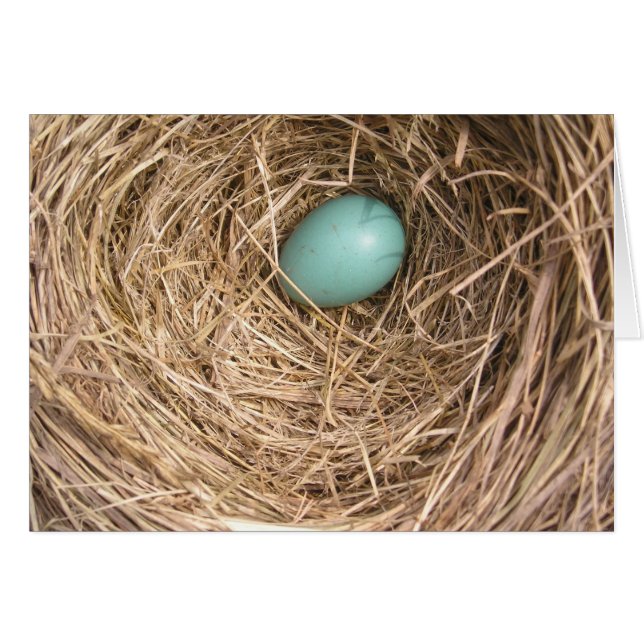 Cartão O ninho dos pássaros (West Virginia) (Frente horizontal)