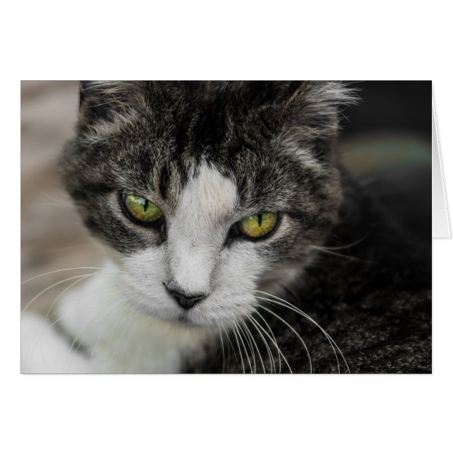 Cartão O olhar do bebê (Frente horizontal)