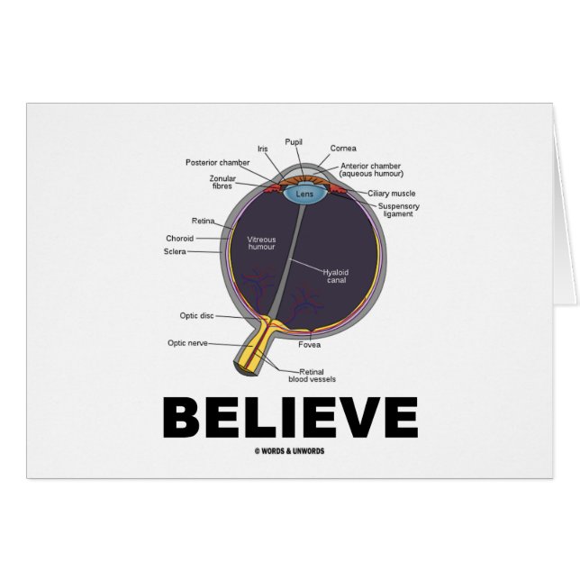 Cartão O olho acredita (o humor anatômico) (Frente Horizontal)