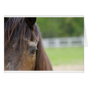 Cartão O olho de Emma