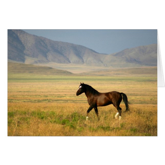 Cartão O Orgulhoso (Frente Horizontal)