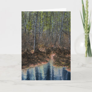 Cartão "O Outro Lado" Digitalmente Editado Floresta e Pon